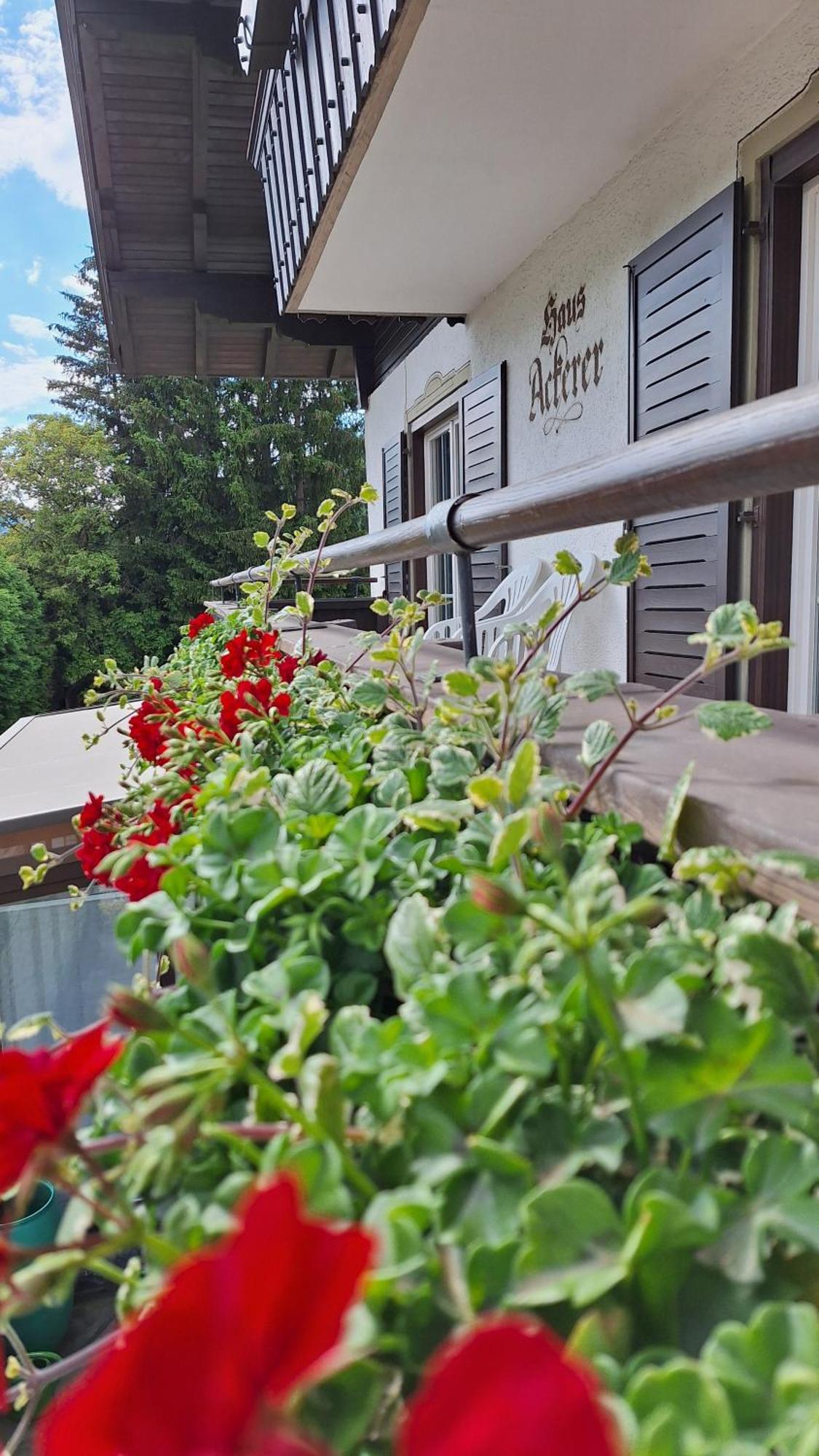 Appartamento Haus Ackerer Leogang Esterno foto
